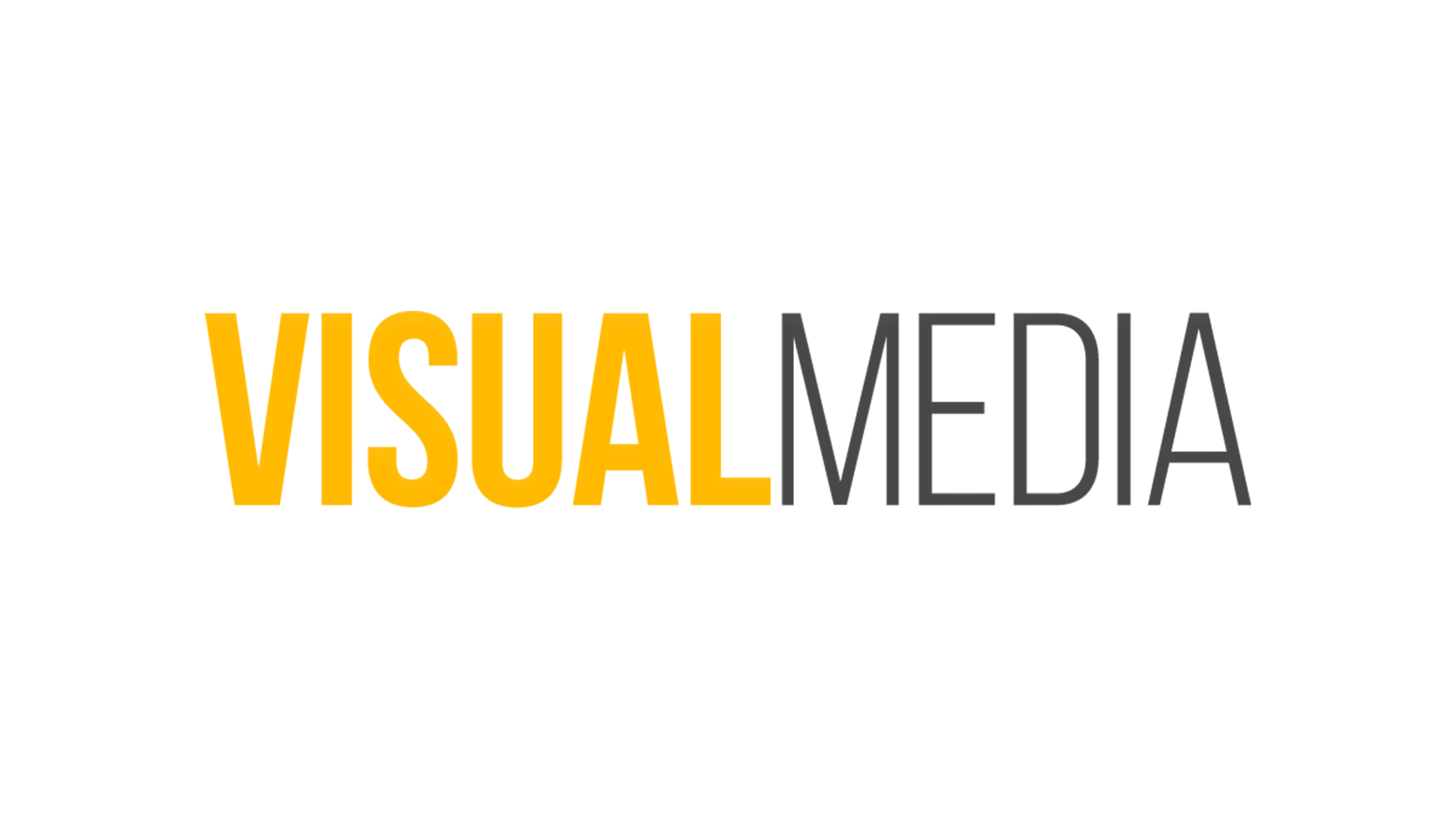 visual media logo
